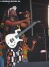 Steel Pulse at Reggae Sundance 2006 25.jpg - 